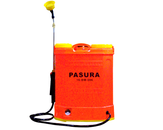 Pasura